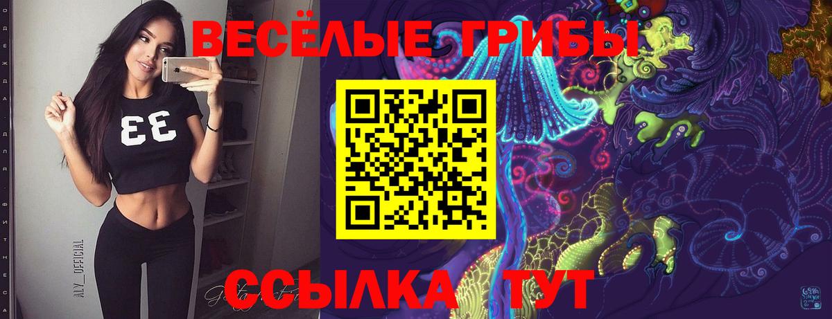 магазин    Галлюциногенные грибы Cubensis  Вход с VPN  Губаха 